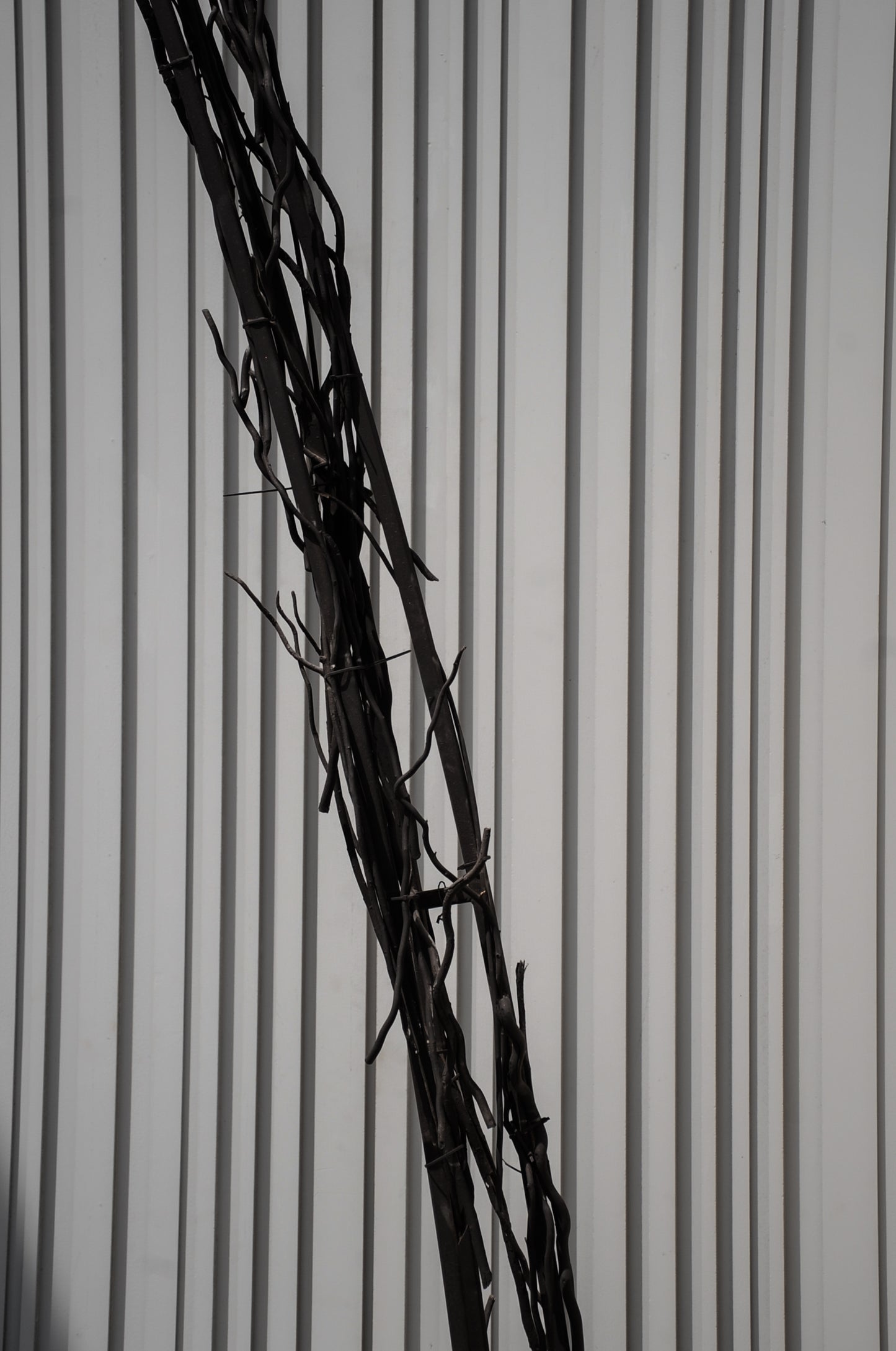 Narrow Steel Arch