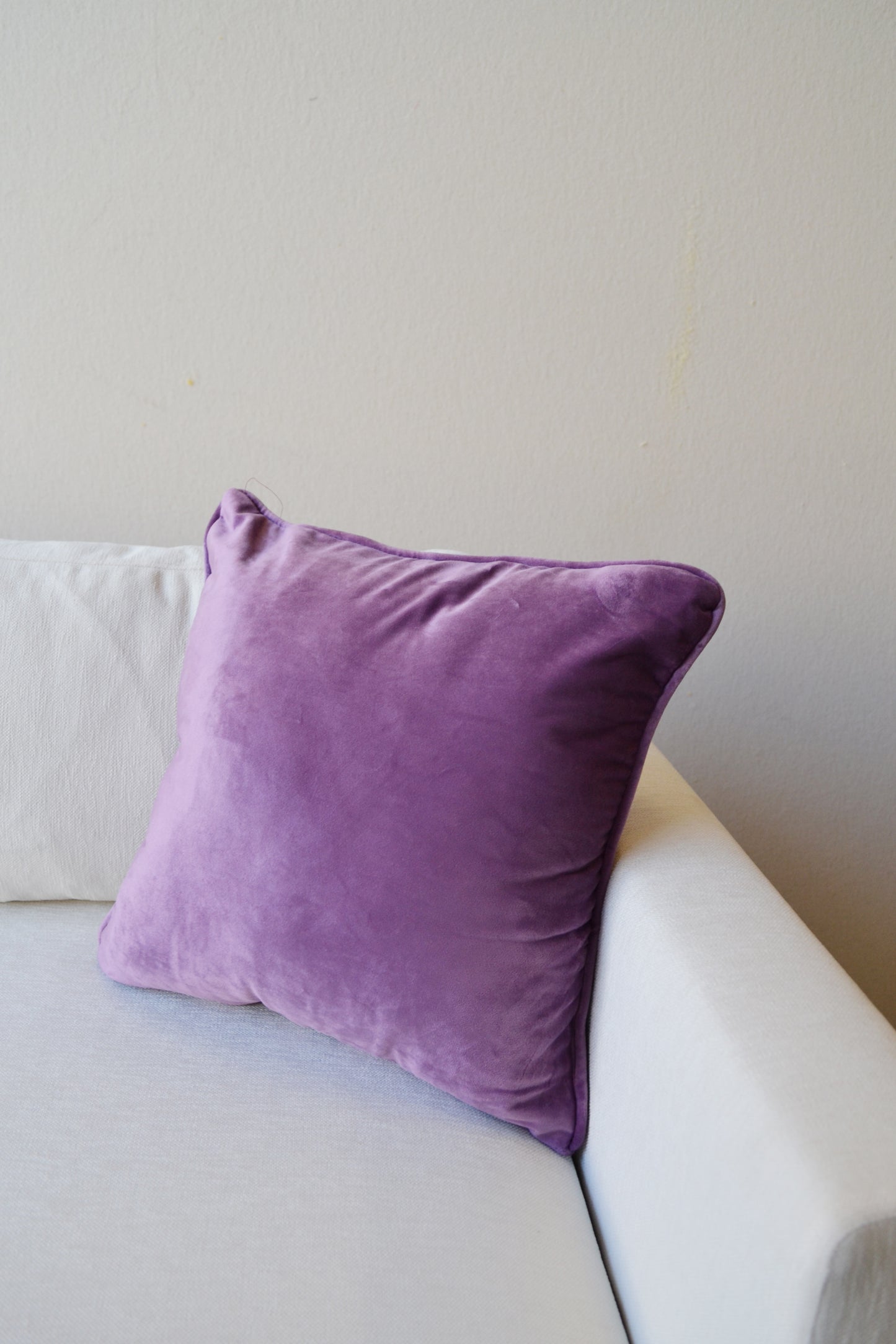 Purple Cushion