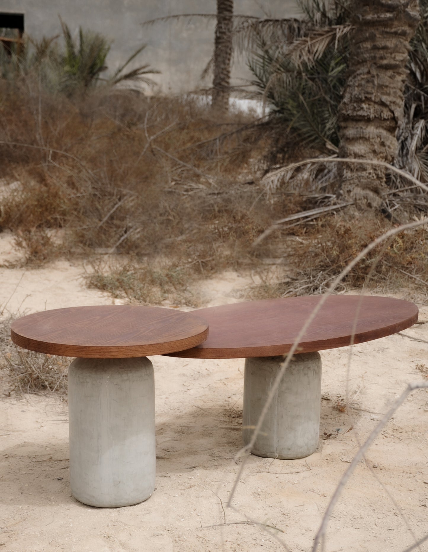 Stone x Wood - Coffee Table Set